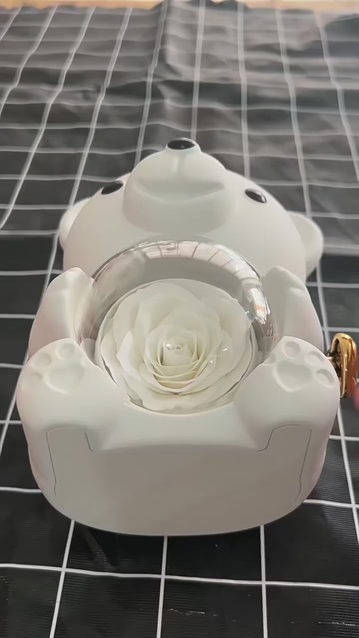 Rose Bear with Hidden Necklace
